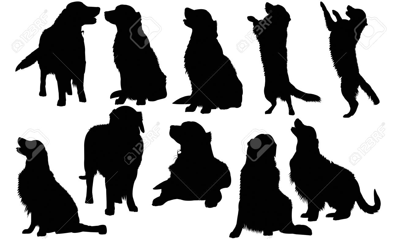 Detail Golden Retriever Silhouette Vector Nomer 23