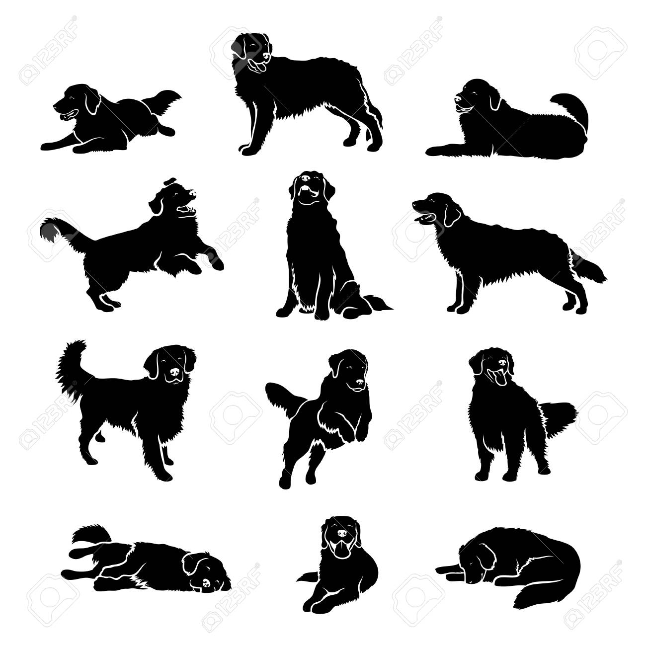 Detail Golden Retriever Silhouette Vector Nomer 24