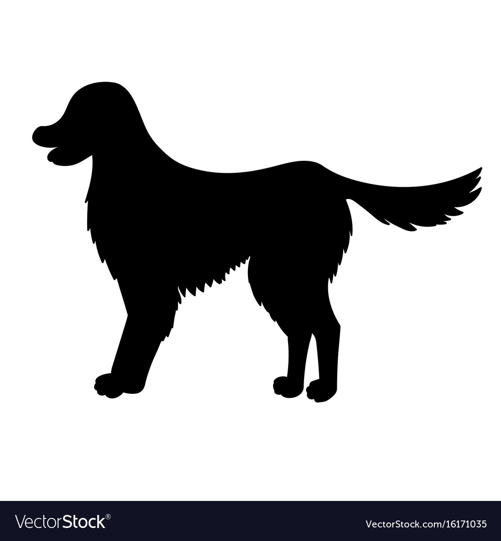 Detail Golden Retriever Silhouette Vector Nomer 55