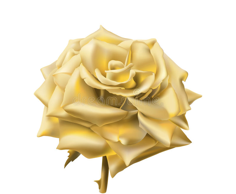 Detail Golden Rose Logo Png Nomer 28