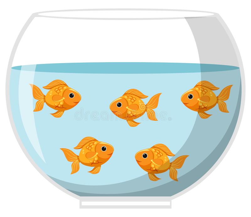 Detail Goldfish Bowl Clip Art Nomer 8