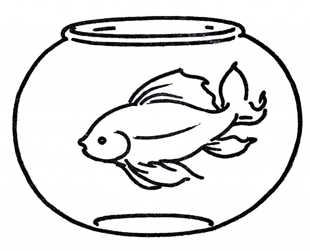 Detail Goldfish Bowl Clip Art Nomer 13