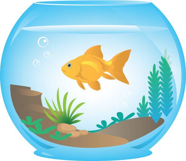 Detail Goldfish Bowl Clip Art Nomer 2