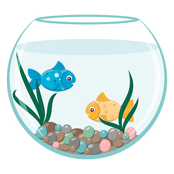 Detail Goldfish Bowl Clip Art Nomer 28