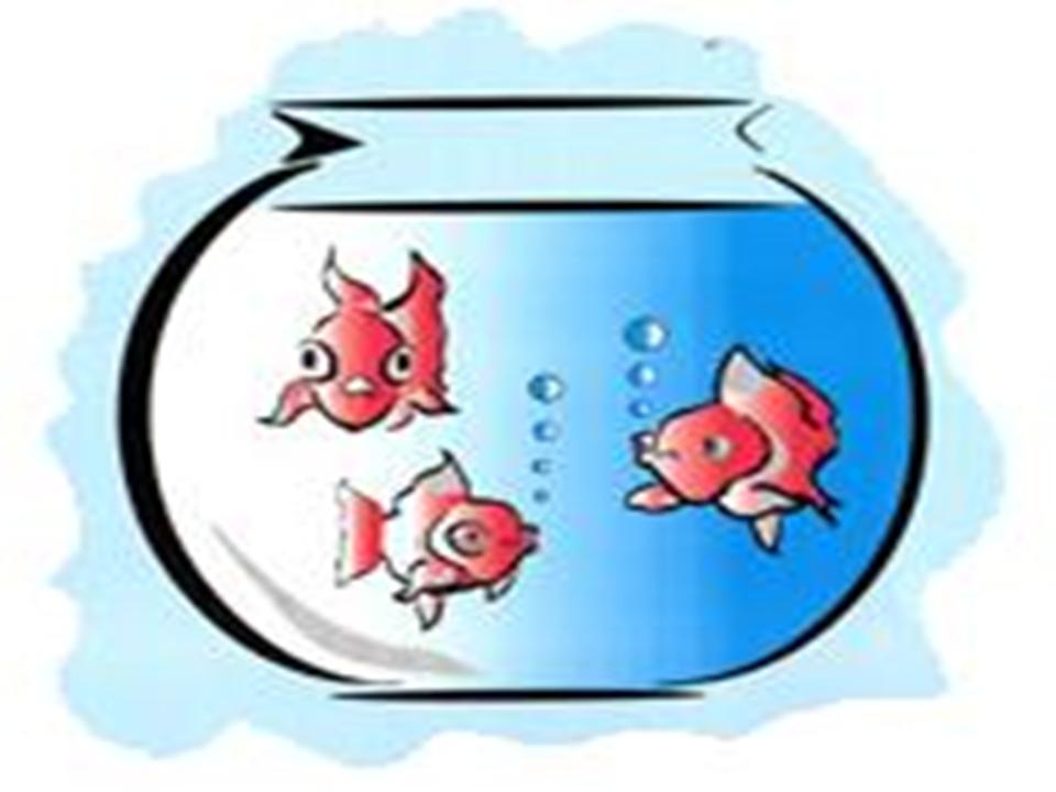 Detail Goldfish Bowl Clip Art Nomer 46