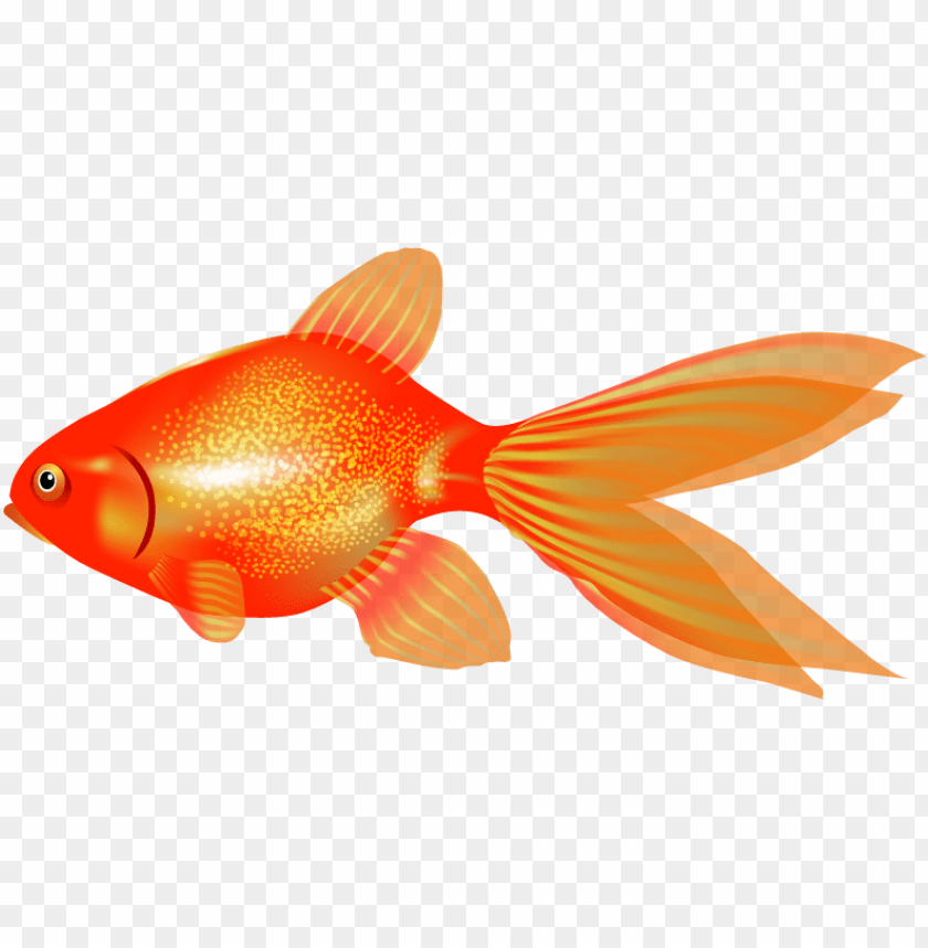 Detail Goldfish Clipart Nomer 41