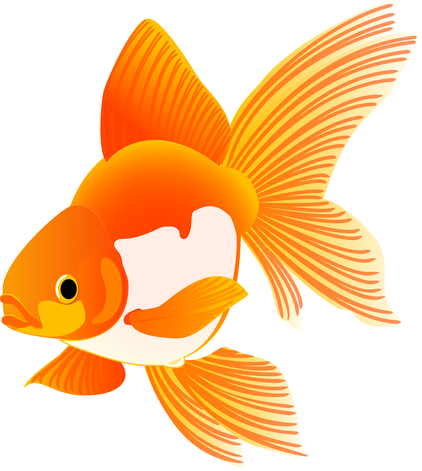 Detail Goldfish Clipart Nomer 8