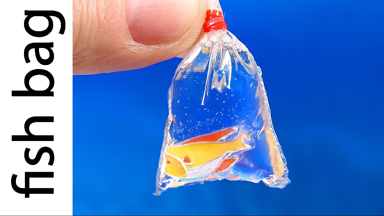 Detail Goldfish In A Bag Keychain Nomer 39