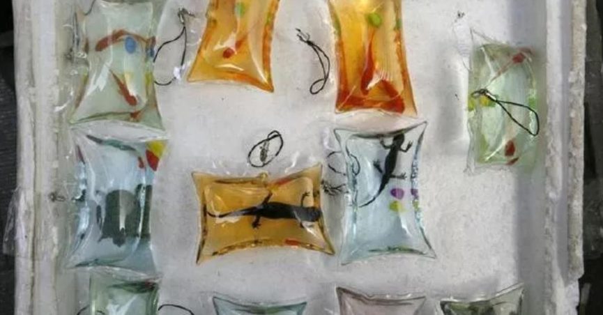 Detail Goldfish In A Bag Keychain Nomer 57