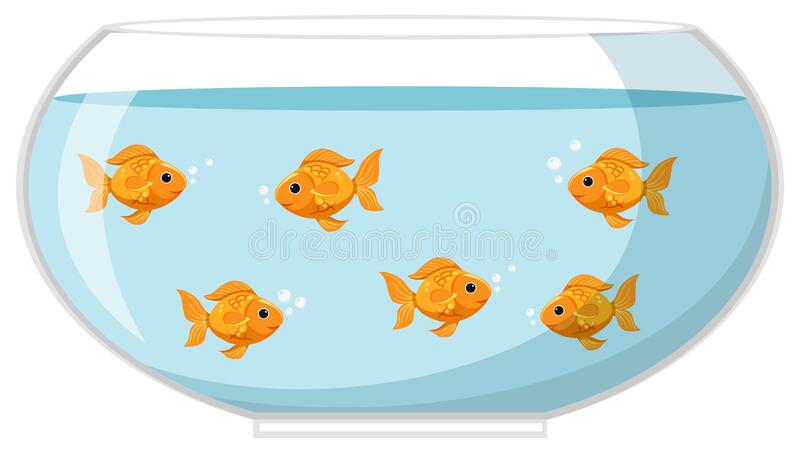 Detail Goldfish In Bowl Clipart Nomer 13