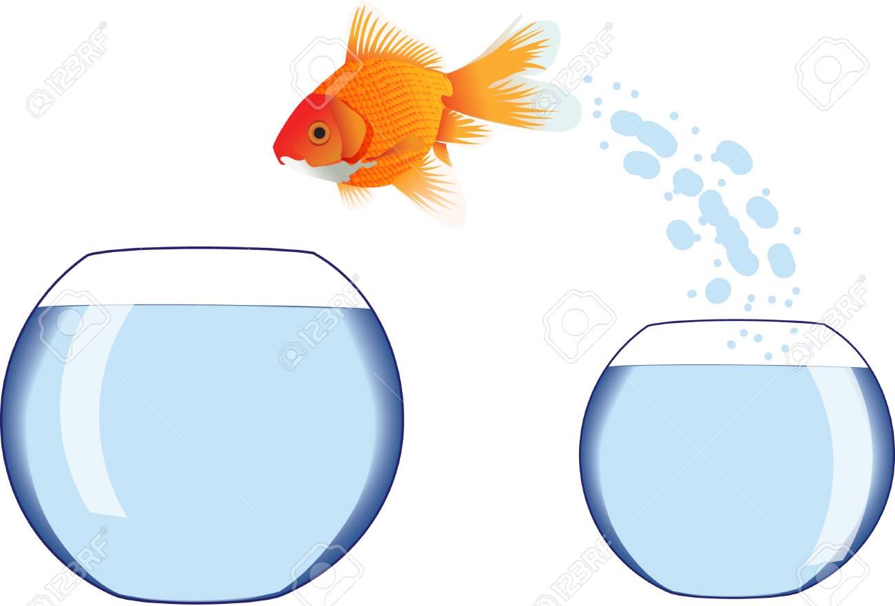 Detail Goldfish In Bowl Clipart Nomer 25