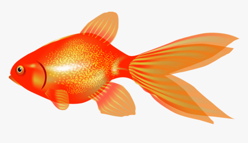 Detail Goldfish In Bowl Clipart Nomer 34