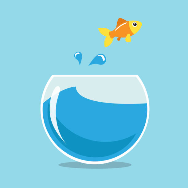 Detail Goldfish In Bowl Clipart Nomer 35