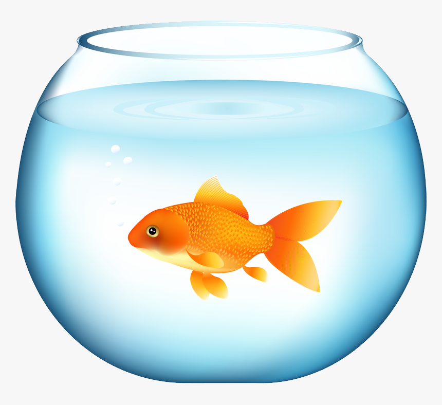 Detail Goldfish In Bowl Clipart Nomer 7