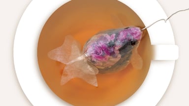 Detail Goldfish Tea Bags Amazon Nomer 21