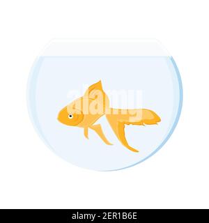 Detail Goldfish Transparent Nomer 38