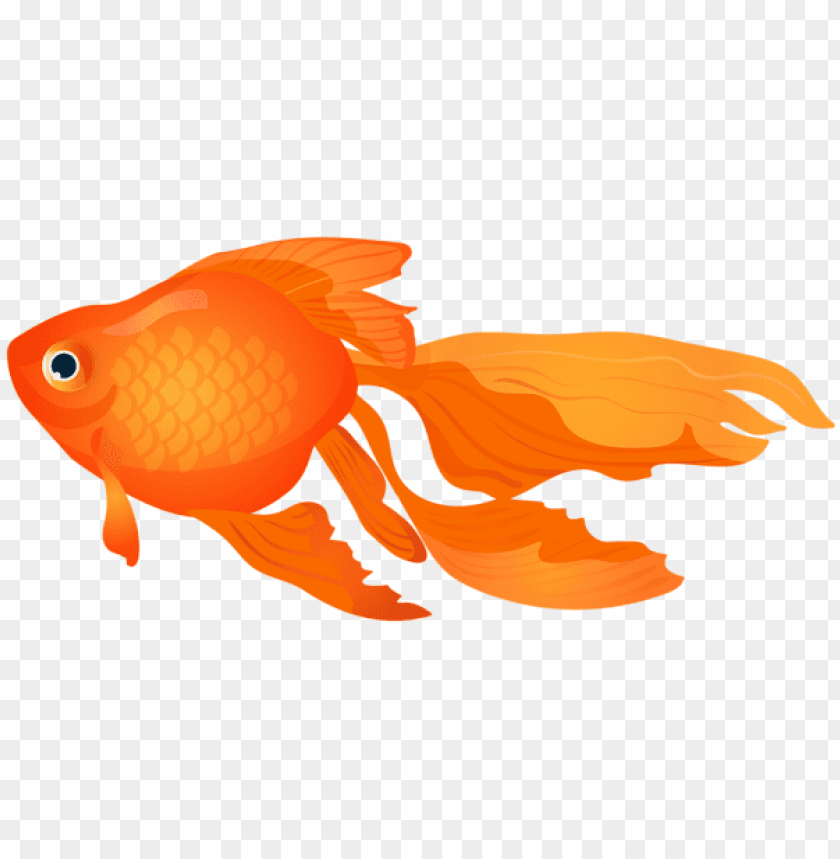 Detail Goldfish Transparent Nomer 41