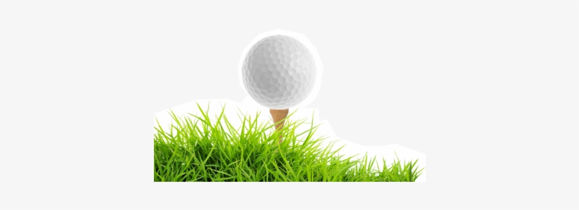 Detail Golf Ball Transparent Png Nomer 32