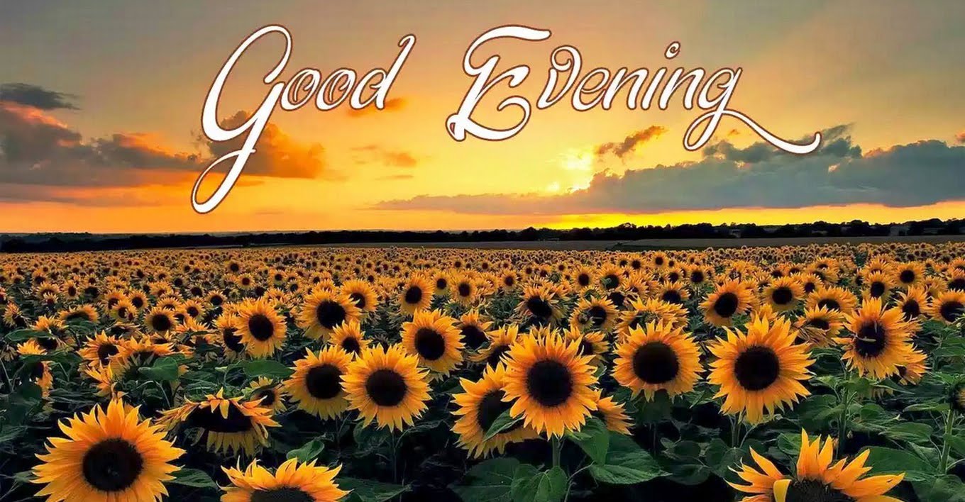 Detail Good Evening Image Free Download Nomer 50