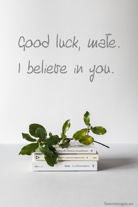 Detail Good Luck Quotes For Exams Nomer 40