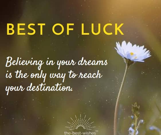 Detail Good Luck Quotes For Friends Nomer 37