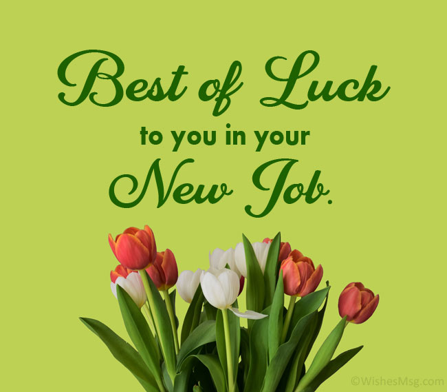 Detail Good Luck Quotes For New Job Nomer 3