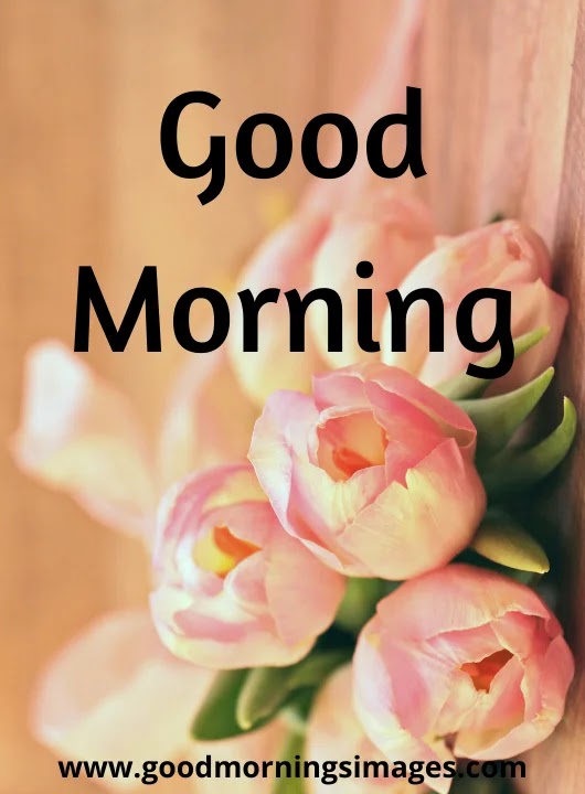 Detail Good Morning Greetings Images Free Download Nomer 18