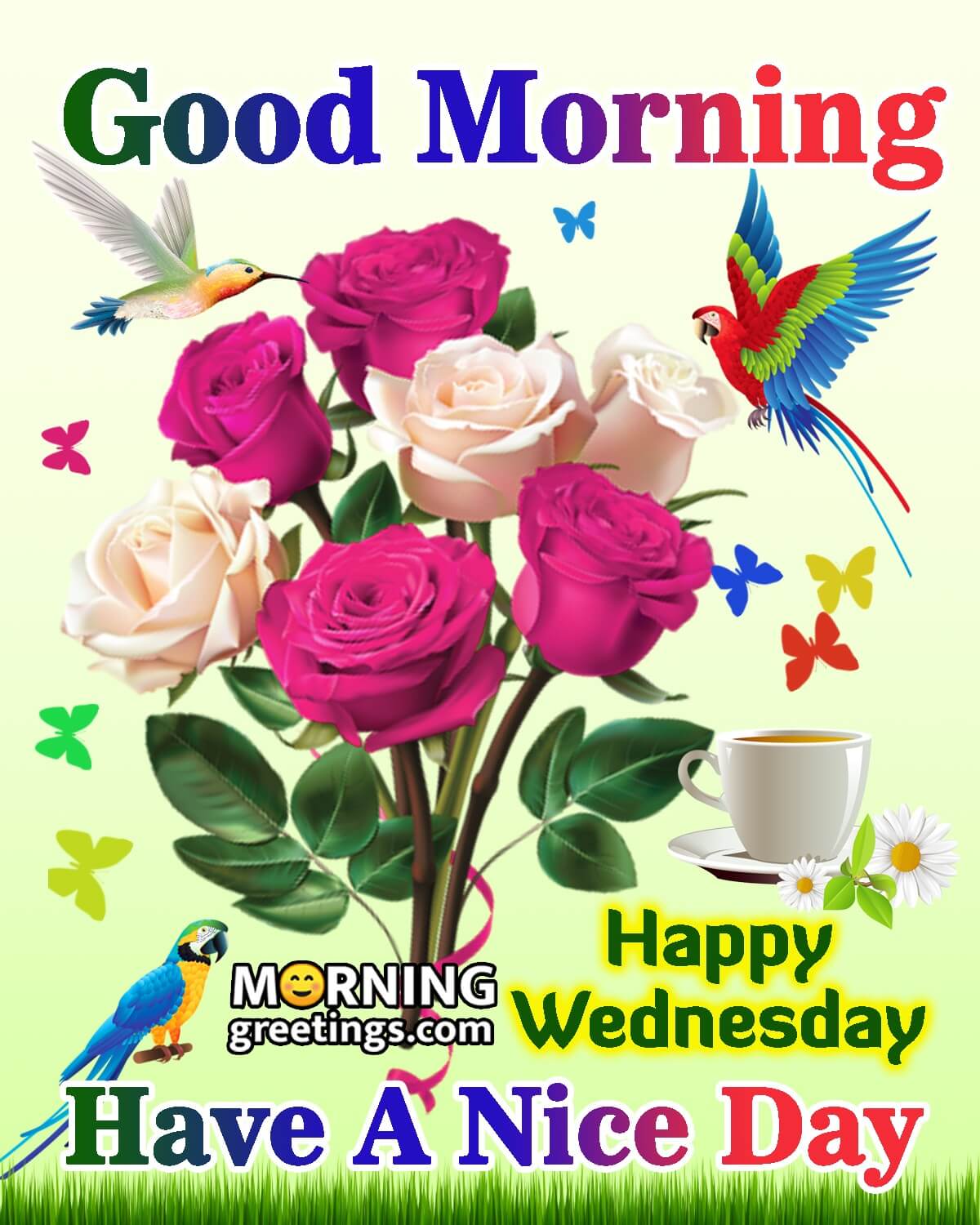 Good Morning Happy Wednesday Gif - ab9lgij
