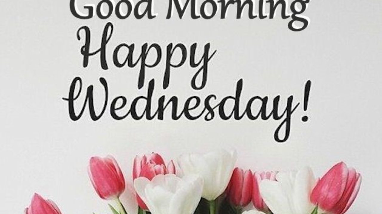 Detail Good Morning Happy Wednesday Quotes Nomer 22