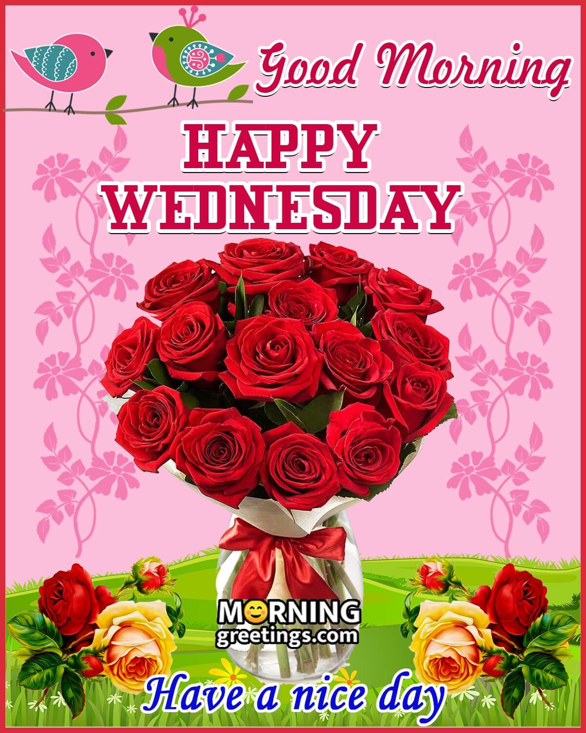 Good Morning Happy Wednesday Funny Gif