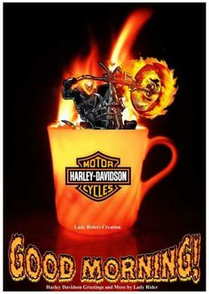 Detail Good Morning Harley Davidson Images Nomer 12