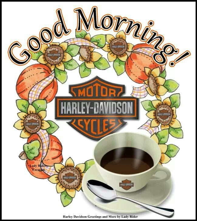 Detail Good Morning Harley Davidson Images Nomer 31