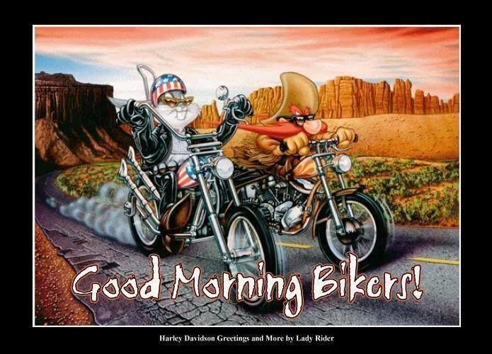 Detail Good Morning Harley Davidson Images Nomer 34