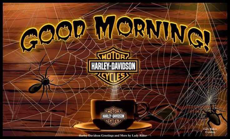 Detail Good Morning Harley Davidson Images Nomer 48