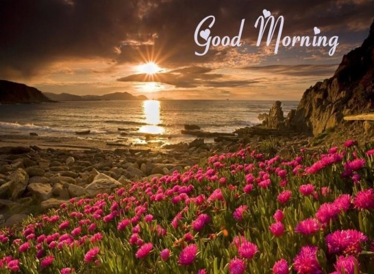 Detail Good Morning Image Download Nomer 13