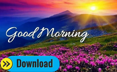 Detail Good Morning Image Download Nomer 47