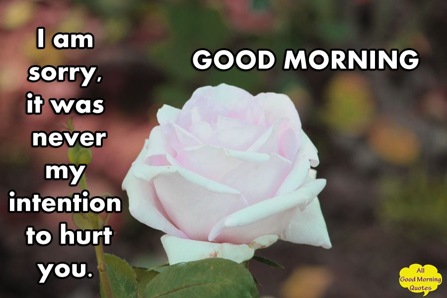 Good Morning Images With Sorry Quotes 57+ Koleksi Gambar