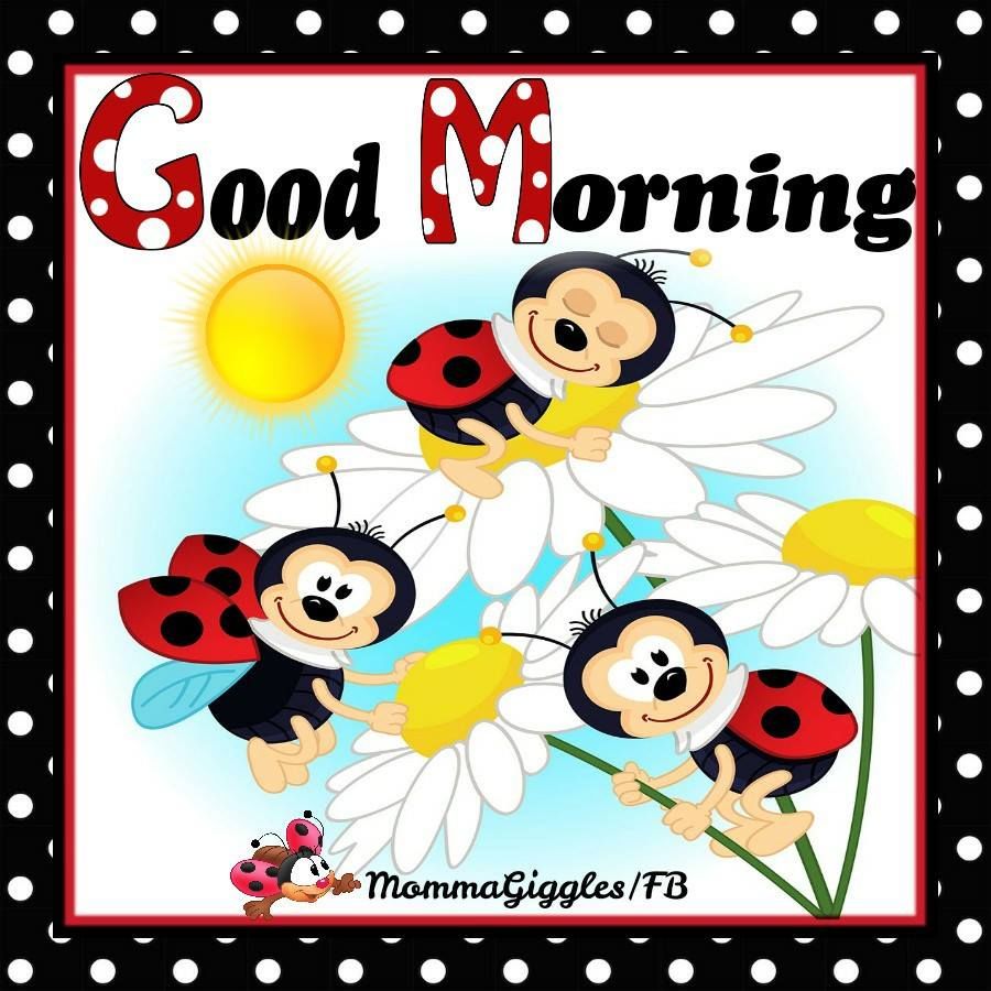 Detail Good Morning Ladybug Images Nomer 4