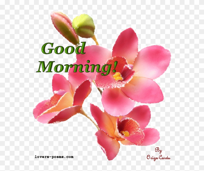 Detail Good Morning Png Gif Nomer 29