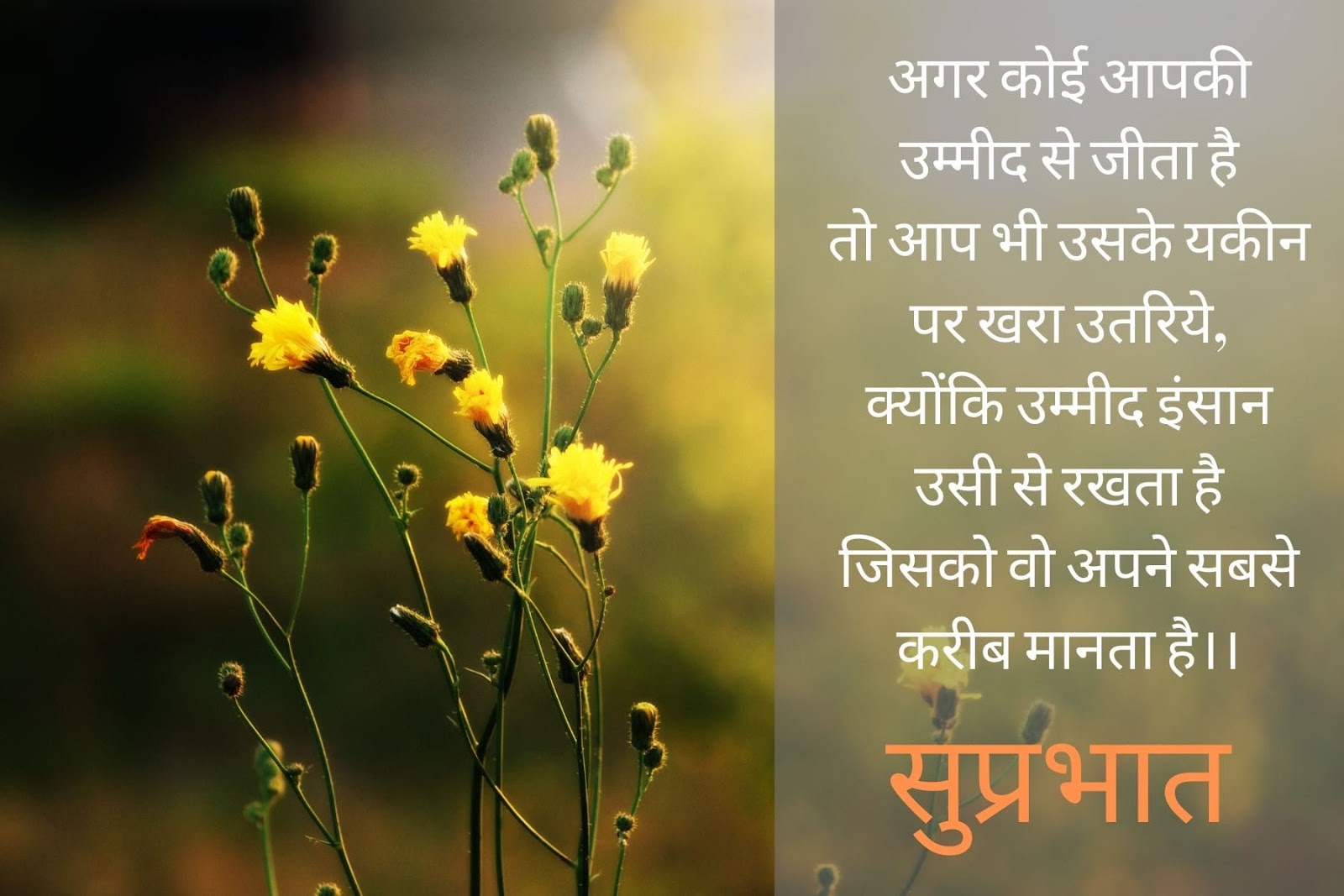 Detail Good Morning Quotes Inspirational In Hindi Text Nomer 29