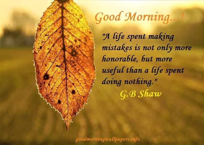 Detail Good Morning Quotes Inspirational In Hindi Text Nomer 53