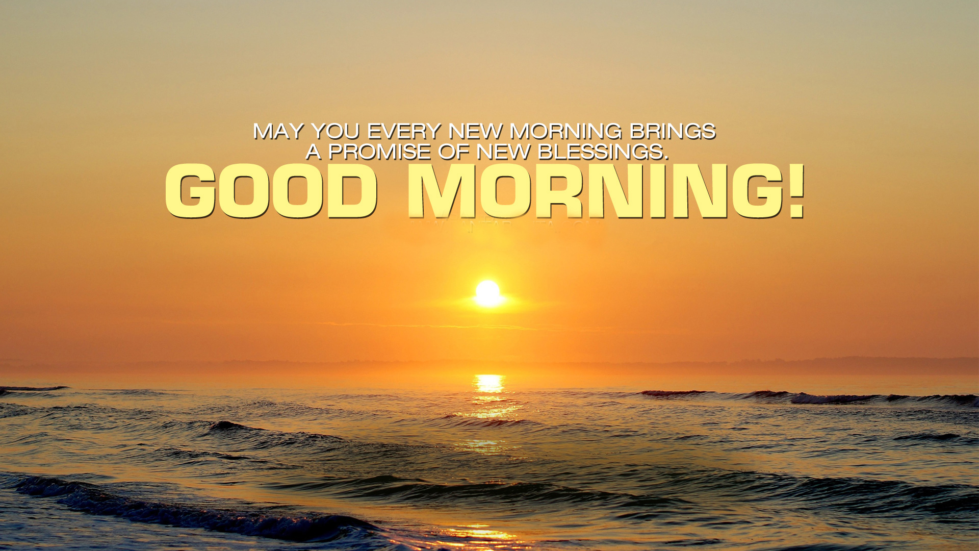 Detail Good Morning Wishes Images Free Download Nomer 23