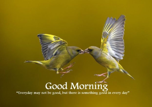 Detail Good Morning Wishes Images Free Download Nomer 41