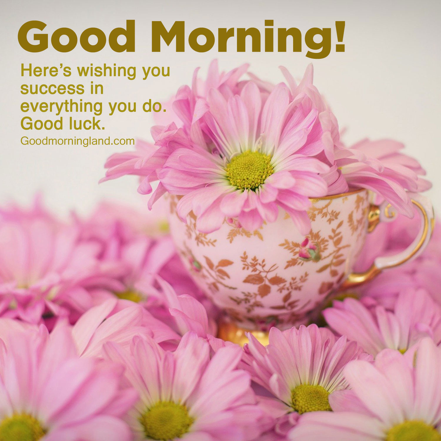 Detail Good Morning Wishes Images Free Download Nomer 6