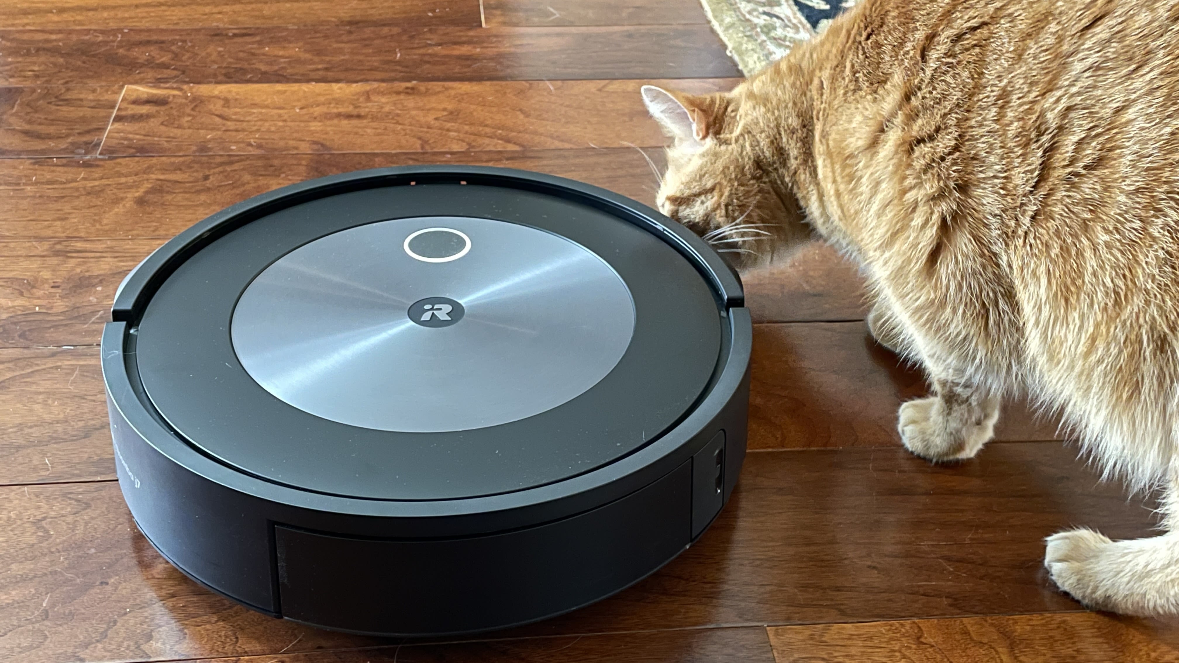 Detail Goofy Robot Vacuum Nomer 15
