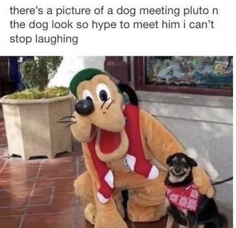 Detail Goofy Walking Pluto Meme Nomer 31