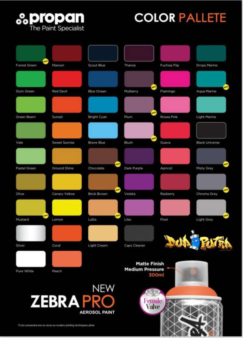 Detail Zebra Graffiti Propan Nomer 15