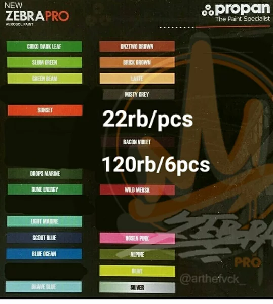 Detail Zebra Graffiti Propan Nomer 29