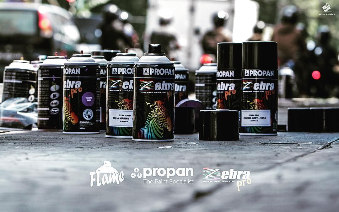 Detail Zebra Graffiti Propan Nomer 30