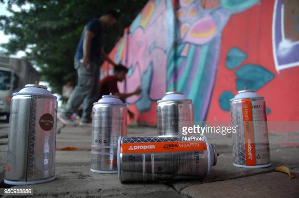 Detail Zebra Graffiti Propan Nomer 31